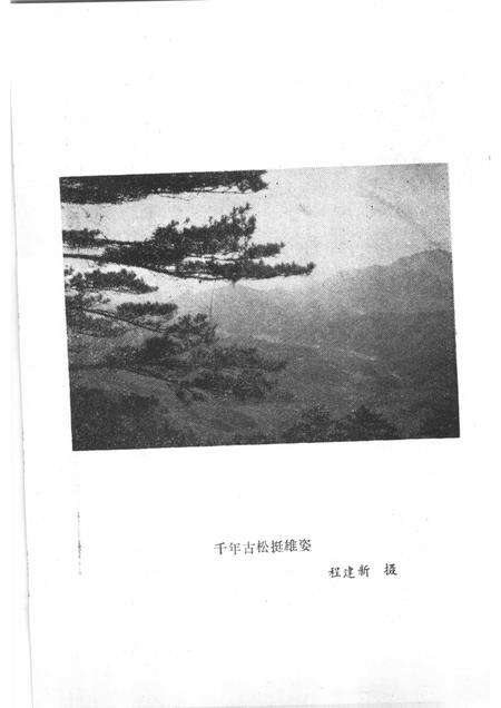 1989版红色鹞落坪：岳西县美丽乡党史资料选编.pdf电子版_安徽省志预览图5