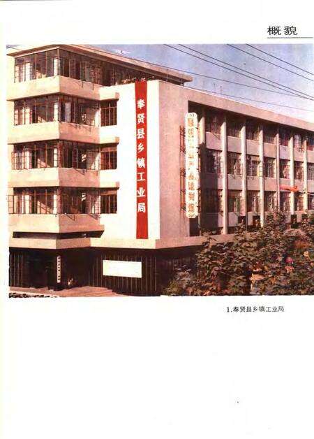 1990-上海市奉贤县乡镇工业志.pdf电子版_上海市志预览图5