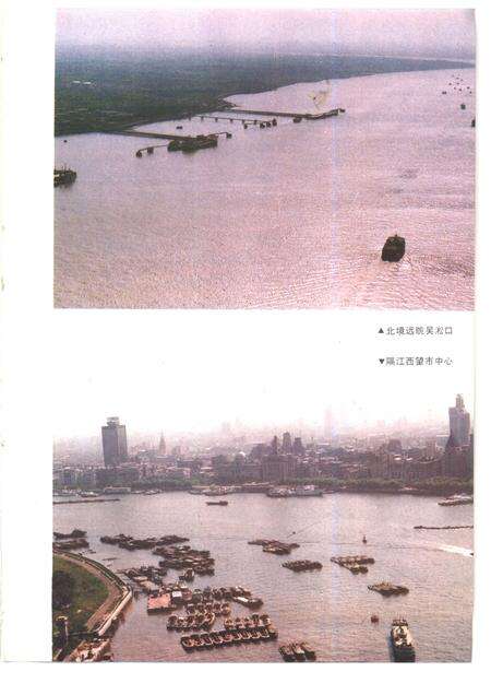 1990-上海市川沙县志.pdf电子版_上海市志预览图5