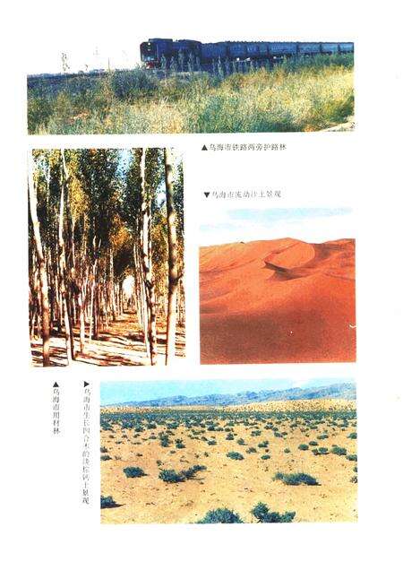 1990-乌海市农业区划.pdf电子版_内蒙古志预览图5