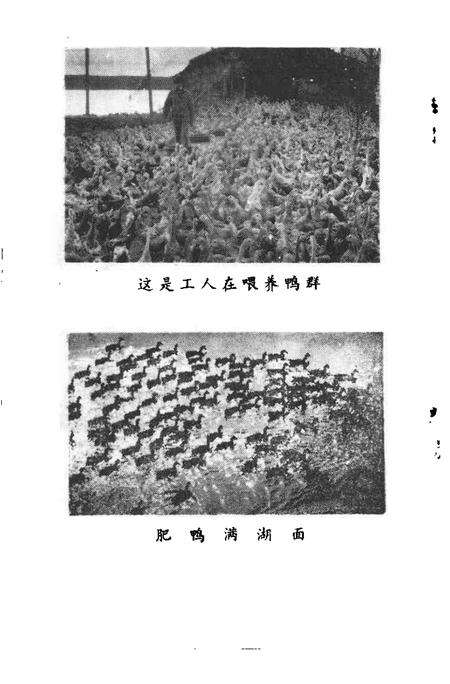 1990版南陵县文史资料  1990年第10辑.pdf电子版_安徽省志预览图5