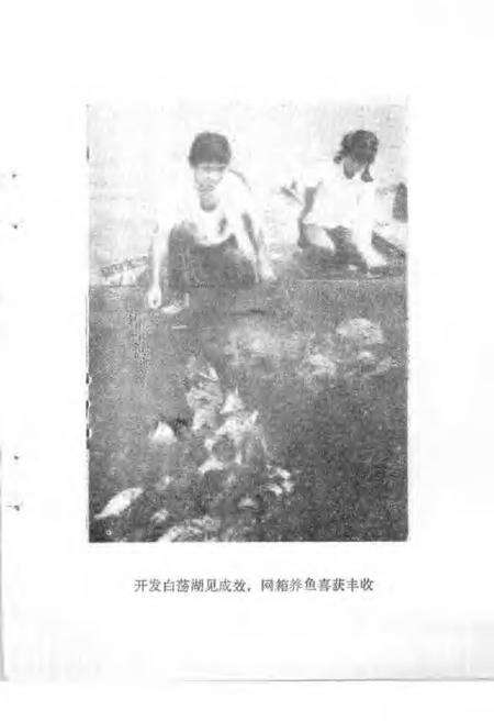 1990版铜陵文史资料选编  第5辑.pdf电子版_安徽省志预览图5