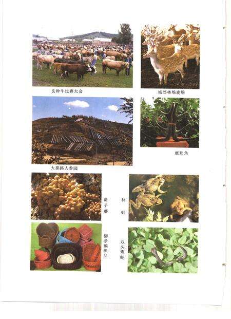 1991-清原县志.pdf电子版_辽宁省志预览图5