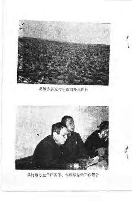 1991版南陵县文史资料  第11辑.pdf电子版_安徽省志预览图5