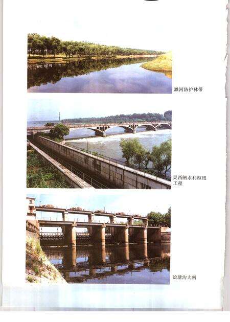 1991版灵璧县志.pdf电子版_安徽省志预览图5