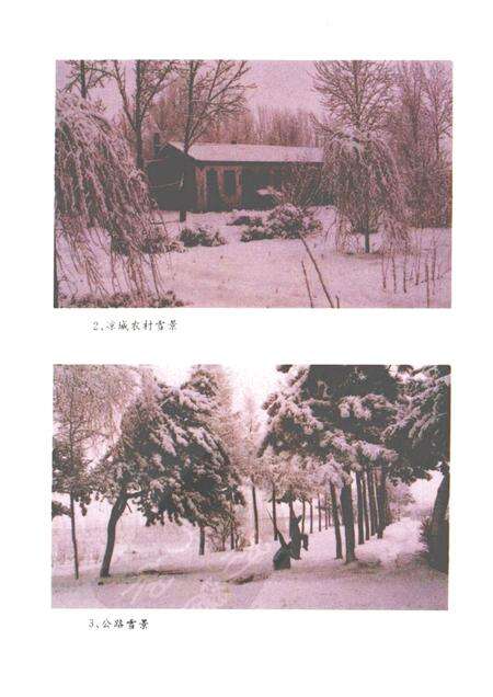 1992-凉城风情.pdf电子版_内蒙古志预览图5