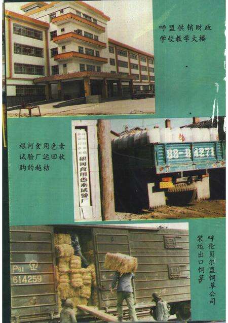 1992-呼伦贝尔盟供销合作社志.pdf电子版_内蒙古志预览图5