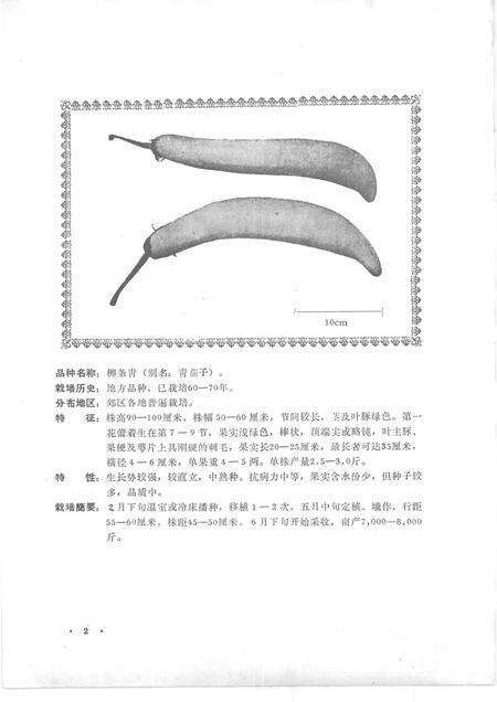 -沈阳市郊区蔬菜品种志.pdf电子版_辽宁省志预览图5
