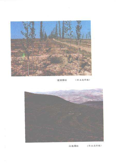 1992-平鲁县志.pdf电子版_山西省志预览图5
