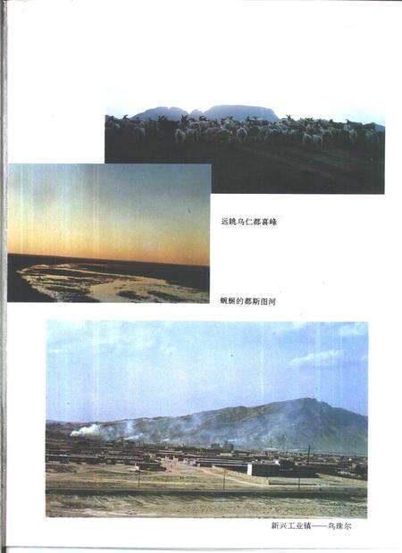 1993-鄂托克旗志.pdf电子版_内蒙古志预览图5