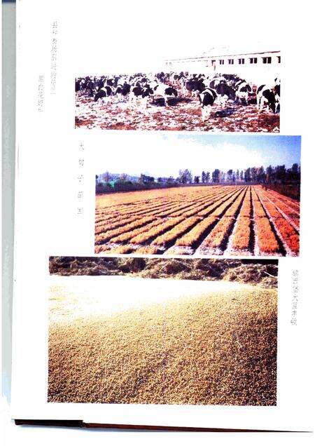 1993-铁岭县志.pdf电子版_辽宁省志预览图5