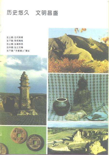 1993-阳高县志.pdf电子版_山西省志预览图5