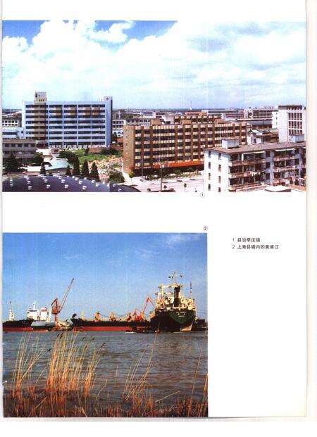1993.07-上海县志.pdf电子版_上海市志预览图5