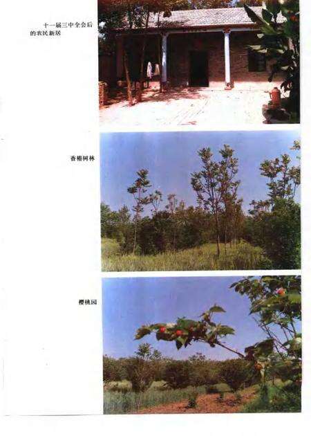 1993版太和县志.pdf电子版_安徽省志预览图5