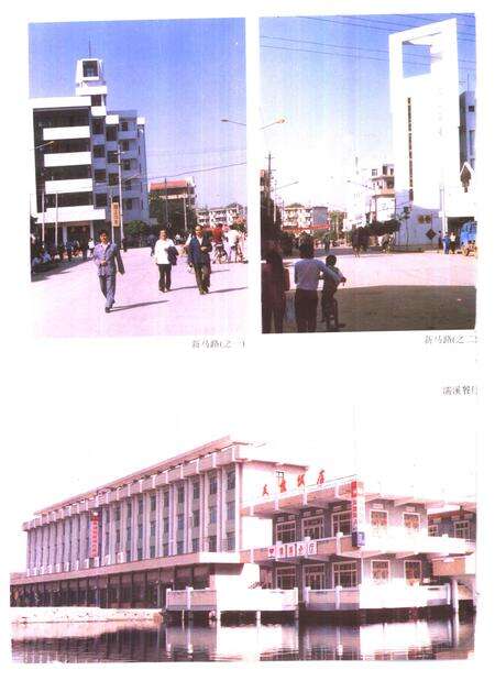 1993版无为县志.pdf电子版_安徽省志预览图5