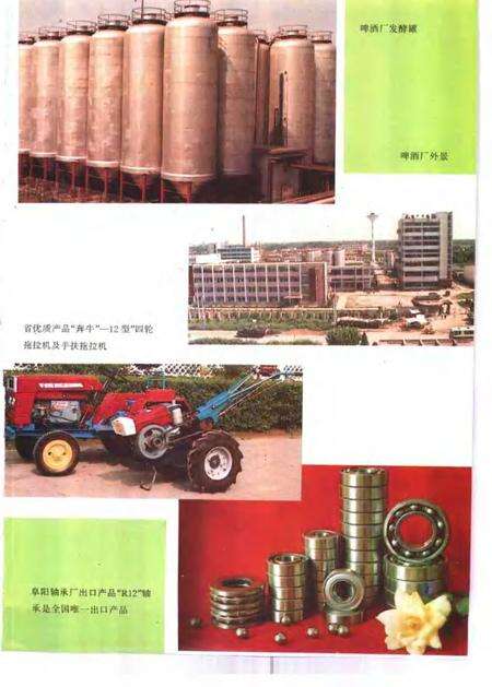 1993版阜阳市志.pdf电子版_安徽省志预览图5