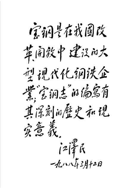 1995-宝钢志.pdf电子版_上海市志预览图5