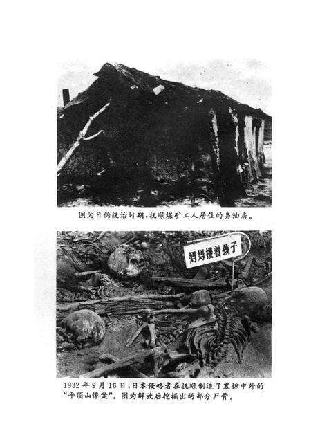 1995-日本帝国主义统治抚顺罪行录  1905-1945.pdf电子版_辽宁省志预览图5