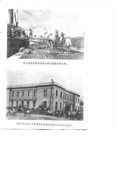 1995-营口人民反日斗争史.pdf电子版_辽宁省志预览图5