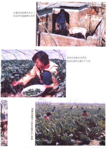 1995版利辛县志.pdf电子版_安徽省志预览图5