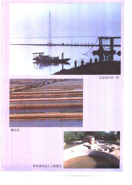 1995版望江县志.pdf电子版_安徽省志预览图5