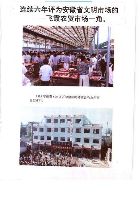 1995版舒城县工商行政管理志.pdf电子版_安徽省志预览图5