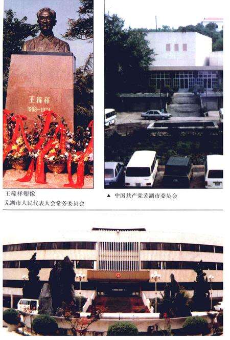 1995版芜湖市志  上.pdf电子版_安徽省志预览图5
