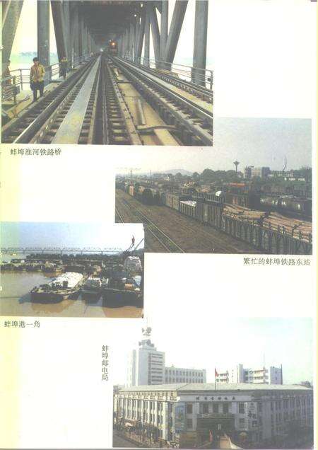 1995版蚌埠市志.pdf电子版_安徽省志预览图5