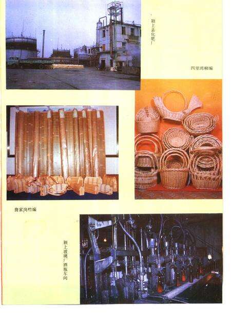 1995版颍上县志.pdf电子版_安徽省志预览图5