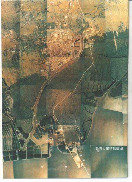 1996-东沟县志.pdf电子版_辽宁省志预览图5