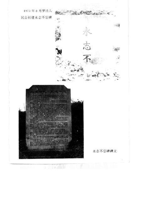 1997-宝山史话  罗泾祭  侵华日军暴行实录.pdf电子版_上海市志预览图5
