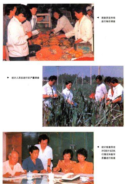 1997-鞍山市志·综合管理卷.pdf电子版_辽宁省志预览图5