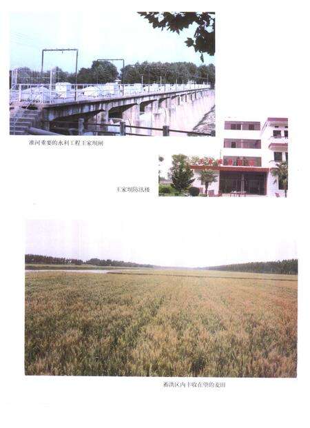 1997版阜南县志.pdf电子版_安徽省志预览图5