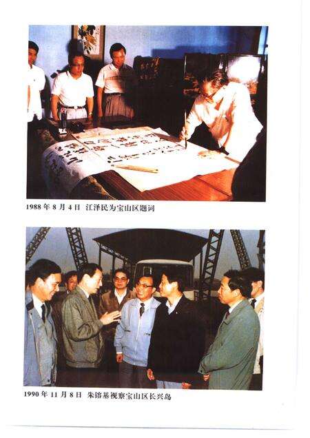 1998-上海改革开放二十年  宝山卷.pdf电子版_上海市志预览图5