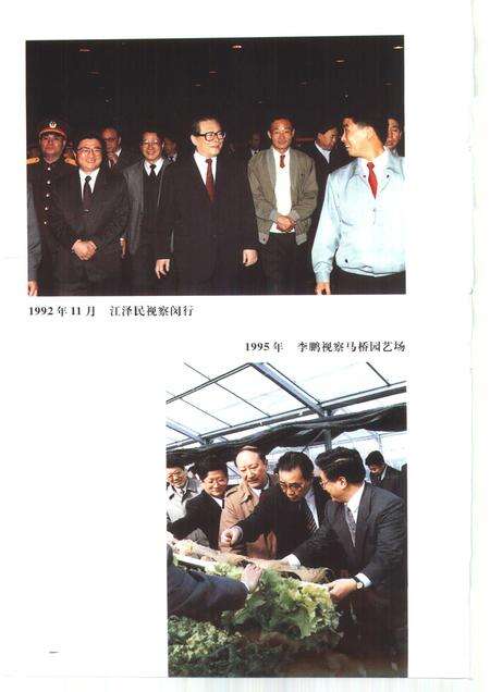 1998-上海改革开放二十年  闵行卷.pdf电子版_上海市志预览图5