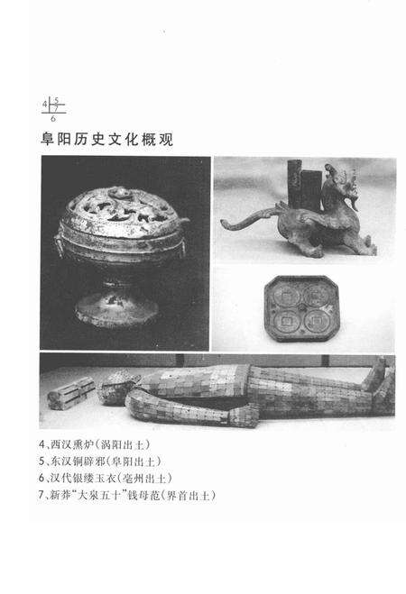 1998版阜阳历史文化概观.pdf电子版_安徽省志预览图5