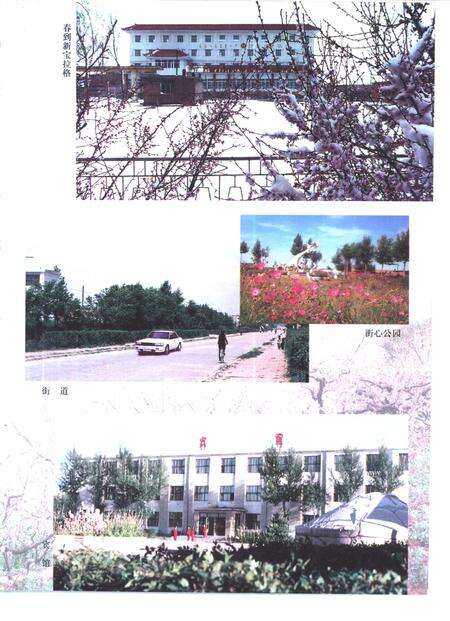 1999-镶黄旗志.pdf电子版_内蒙古志预览图5