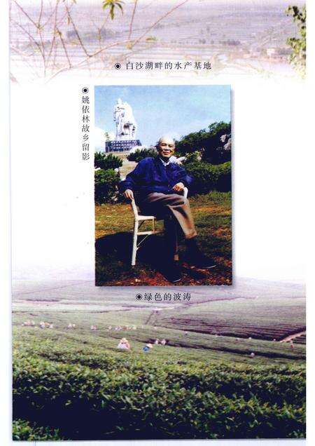 1999版锦绣安徽  池州卷  千载诗人地.pdf电子版_安徽省志预览图5