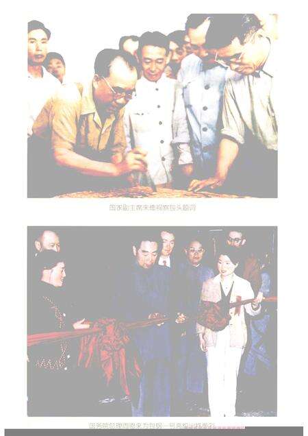 2001-包头市志  卷5.pdf电子版_内蒙古志预览图5