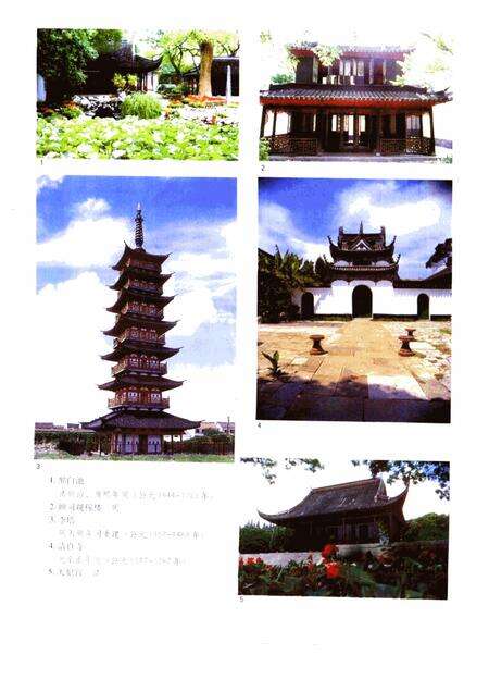 2001-松江文化志  1992.pdf电子版_上海市志预览图5