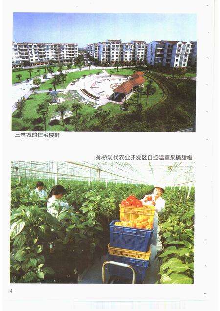 2001-浦东新区乡土地理.pdf电子版_上海市志预览图5