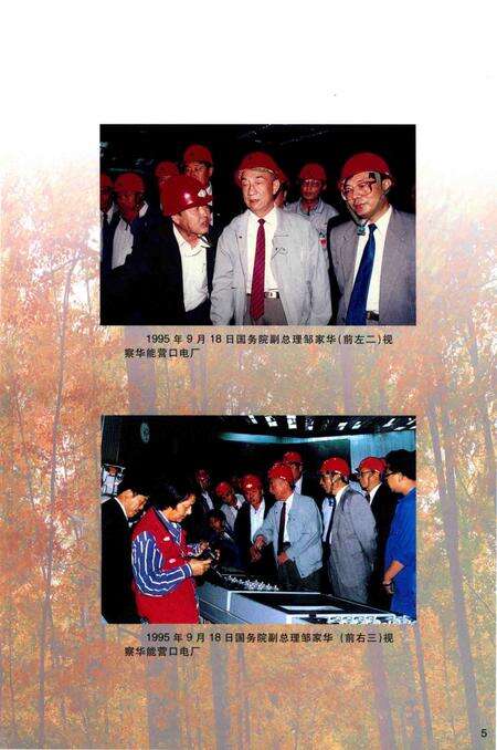 2001-营口市志  第3卷  工业  综合管理  外经外贸.pdf电子版_辽宁省志预览图5