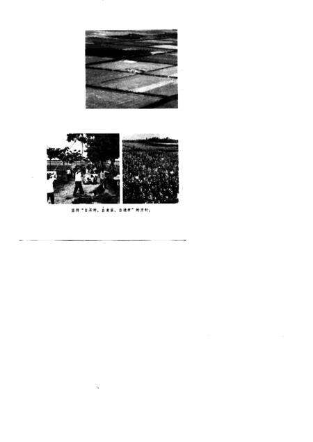 1976版农业学大寨先进典型  涡阳大地披绿装.pdf电子版_安徽省志预览图5