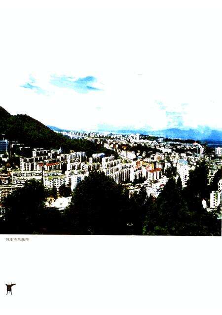 2006版辉煌50年  铜陵市建市五十周年  1956-2006.pdf电子版_安徽省志预览图5