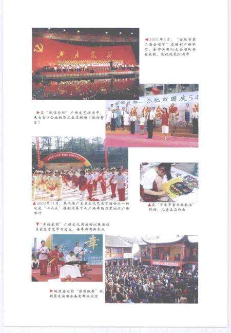 2007版合肥群众文化五十年.pdf电子版_安徽省志预览图5