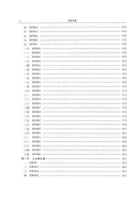 2008版萧县汉墓.pdf电子版_安徽省志预览图5