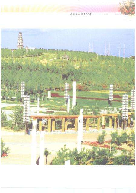 2009-左云改革发展30年.pdf电子版_山西省志预览图5