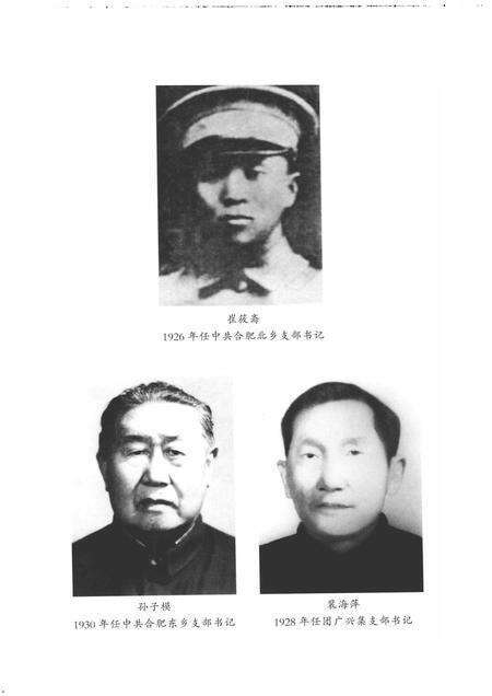 2009版中国共产党肥东地方史  第1卷  1919-1949.pdf电子版_安徽省志预览图5