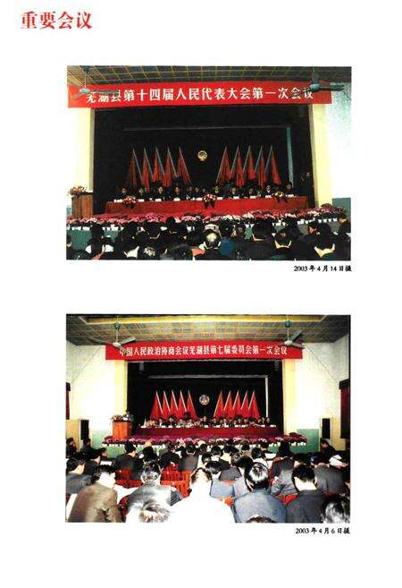 2009版芜湖县志  1990-2003.pdf电子版_安徽省志预览图5