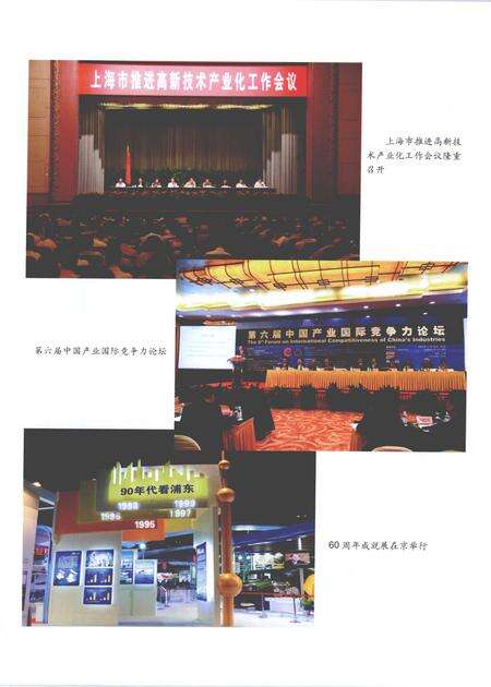 2010-上海工业年鉴  2010.pdf电子版_上海市志预览图5